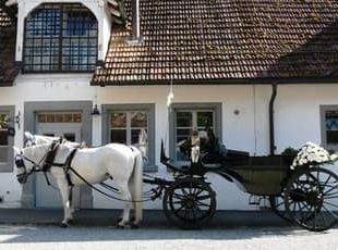 Hotel Kartause Ittingen Hochzeitskutsche St. Gallen